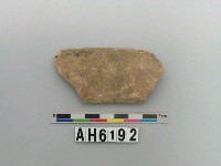 藏品(獸骨)的圖片